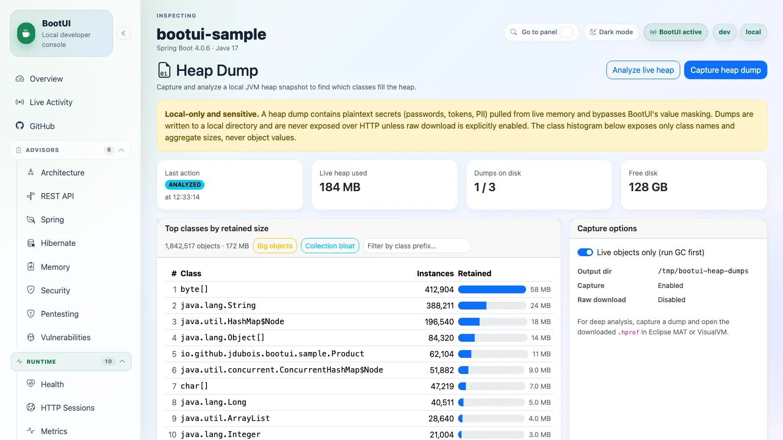 BootUI Heap Dump panel