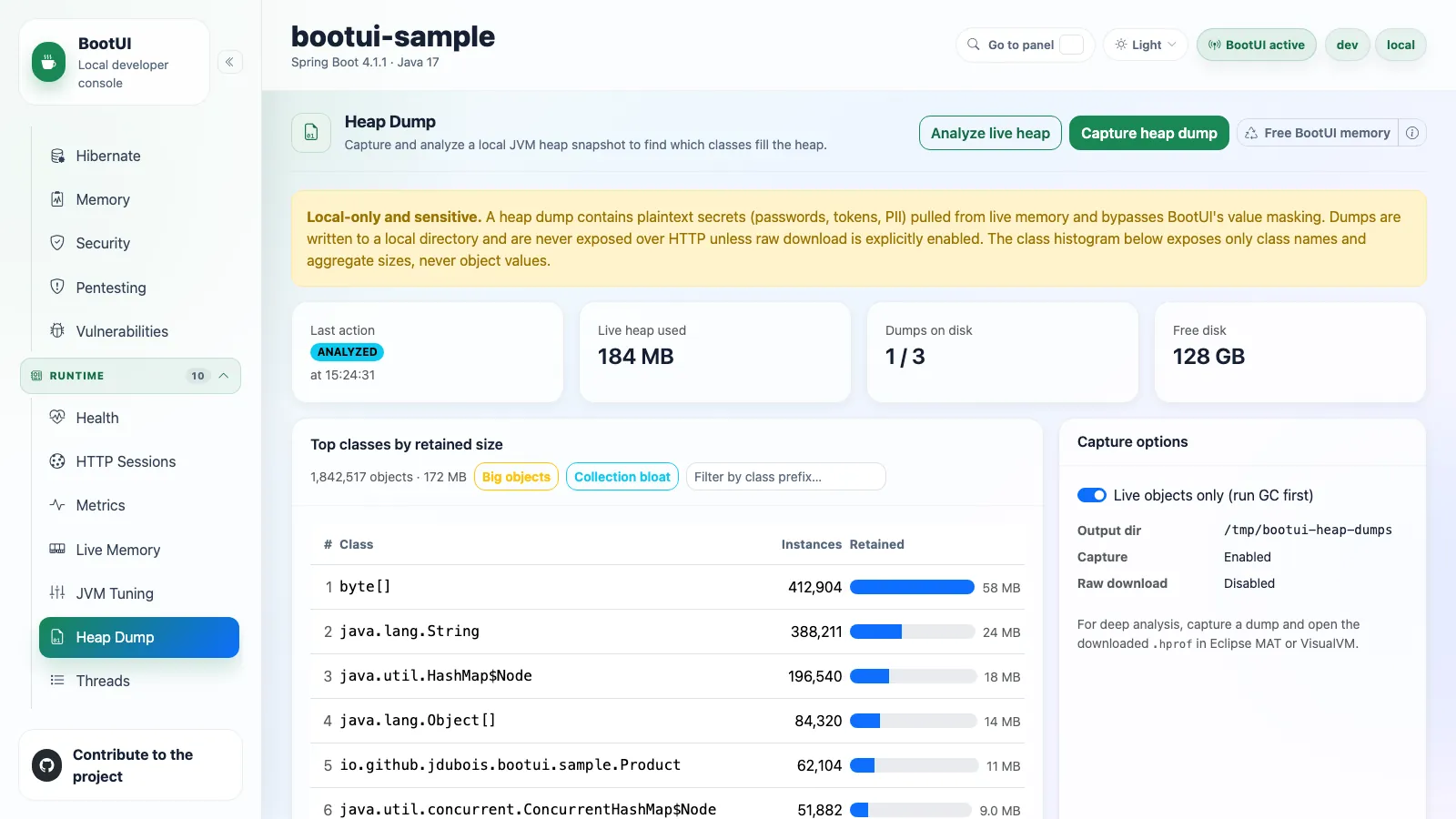BootUI Heap Dump panel