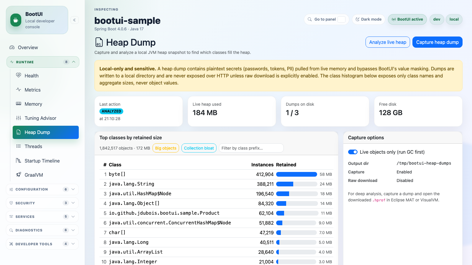 BootUI Heap Dump panel