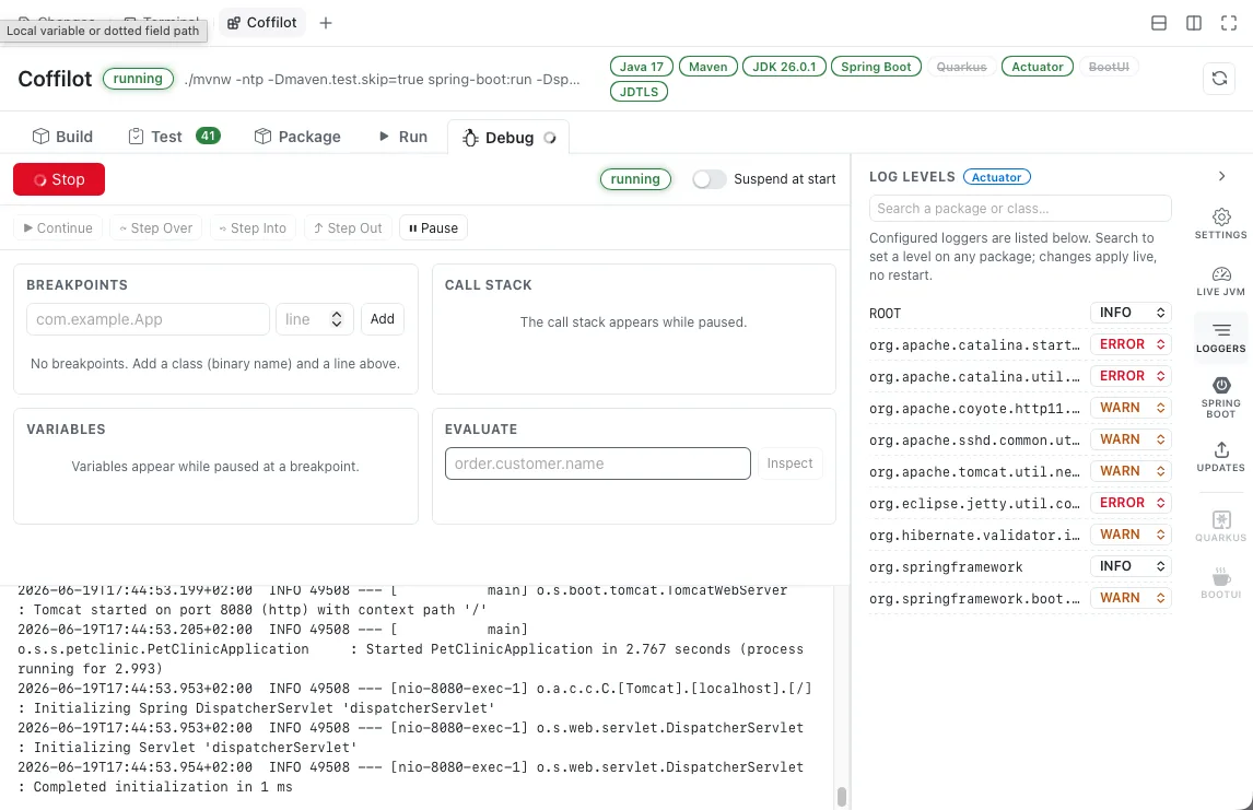Coffilot Debug panel